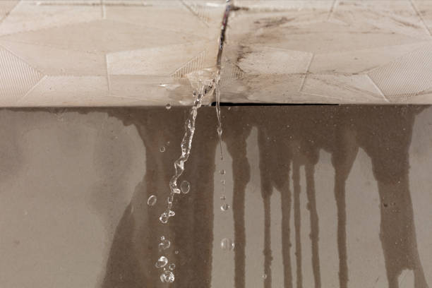 Professional Commercial Water Damage Restoration technician working in New Market, MD
